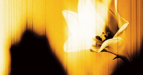 Pytania o najważniejsze 