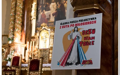Pieszo i biegiem do sanktuarium w Łagiewnikach