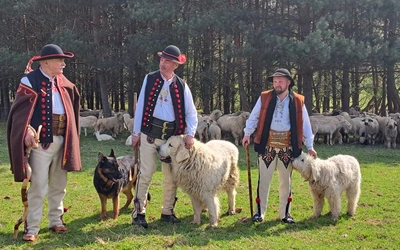 Rozpoczęcie sezonu pasterskiego w Rychwałdzie 
