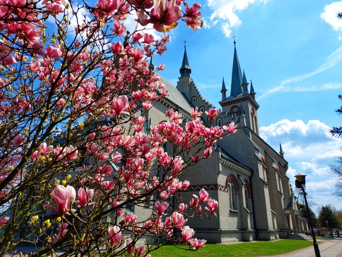W ósme stulecie z Miłosiernym