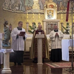 Wybudzenie organów