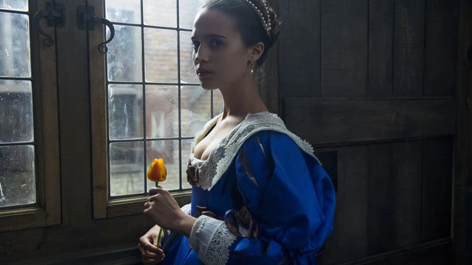 Tulipanowa gorączka