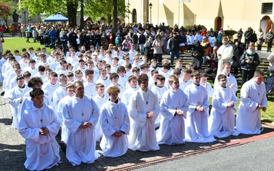 Diecezjalna Pielgrzymka Liturgicznej Służby Ołtarza w Rokitnie