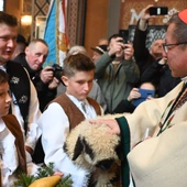 Ludźmierz. Owieczka w kościele, stado okadzone