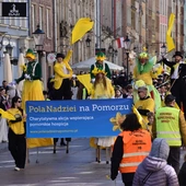 Pola Nadziei na Pomorzu