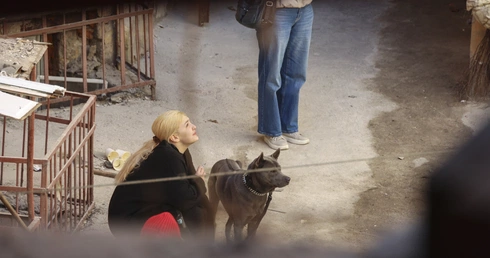 Co robić, gdy zostają tylko ruiny?