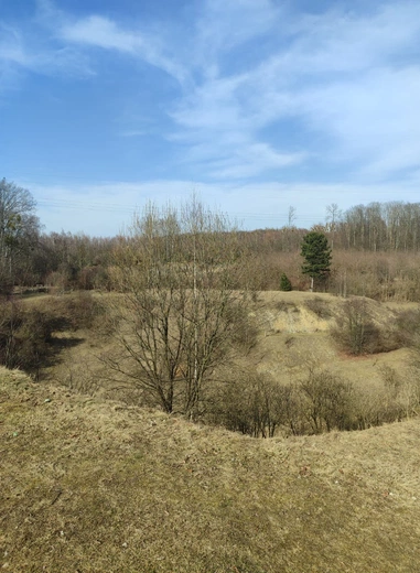 Region. Zagrożenie pożarowe III stopnia w lasach województwa śląskiego