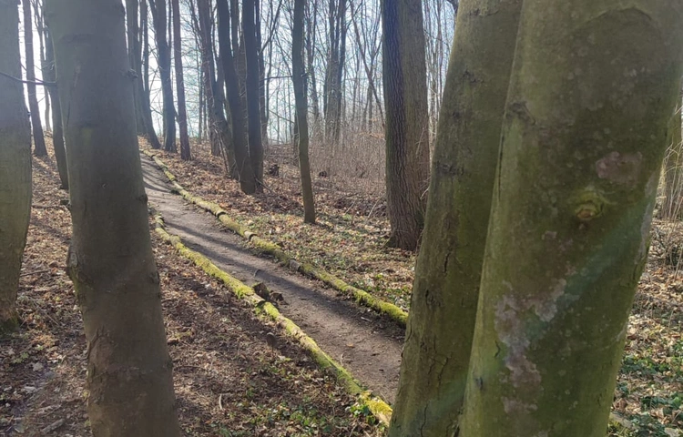 Region. Zagrożenie pożarowe III stopnia w lasach województwa śląskiego