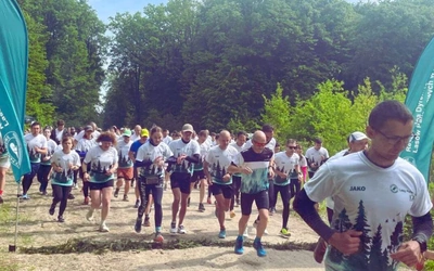 Las, ruch i dobre serce