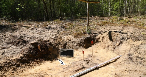 Prof. Krzysztof Szwagrzyk o poszukiwaniach ofiar Wołynia: „Wiemy, gdzie są doły śmierci. Nie zawsze możemy je badać”