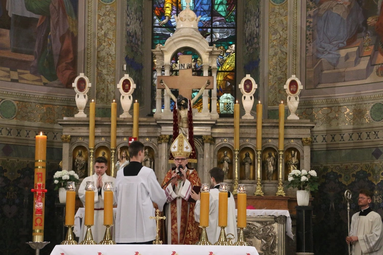 Płock. Uroczystości Zygmuntowskie