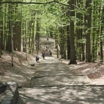 Pielgrzymka Promenista cz. 1