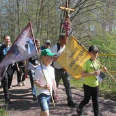 Setka pielgrzymów na diecezjalnych drogach
