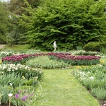 Wiosna w Ogrodzie Botanicznym