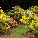 Wiosna w Ogrodzie Botanicznym