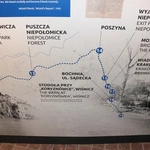 Raporty rtm. Pileckiego z Auschwitz