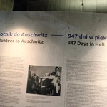 Raporty rtm. Pileckiego z Auschwitz