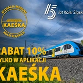 Brak tytułu