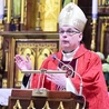Złota róża to płatki, wspaniała woń i kolce