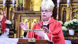 Złota róża to płatki, wspaniała woń i kolce