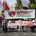 Wielkie świadectwo życia na ulicach Żar