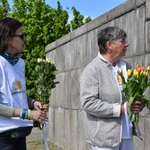 Peace Walk 2026