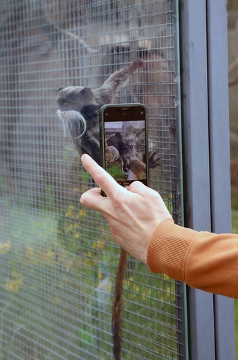 Z wizytą w Łódzkim ZOO