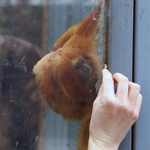 Z wizytą w Łódzkim ZOO