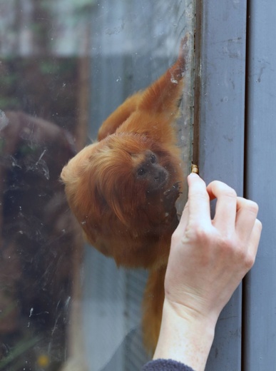 Z wizytą w Łódzkim ZOO