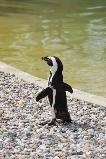 Z wizytą w Łódzkim ZOO