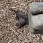 Z wizytą w Łódzkim ZOO