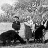 Wiktoria, Marianna, Monika. Oblicza matczynej świętości
