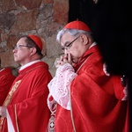 Beatyfikacja 9 salezjańskich męczenników II wojny światowej cz.1