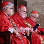 Beatyfikacja 9 salezjańskich męczenników II wojny światowej cz.1