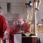 Beatyfikacja 9 salezjańskich męczenników II wojny światowej cz.1
