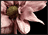 Justysia0616