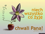 Avatar użytkownika