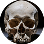 Avatar użytkownika