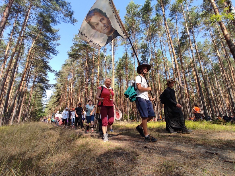 Wejście do lasu niedaleko Nowych Siołkowic