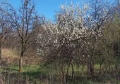 Pożar, powódź i... przeprowadzka