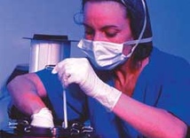 Pozwolono na hybrydy