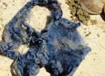 Techelet – kolor już nietajemniczy