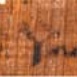 Napis w języku koptyjskim, oznaczający słowo &#8222;Judasz&#8221;, pochodzący z jedynej znanej zachowanej kopii Ewangelii Judasza