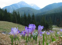 Słowacja: Tatry ponownie otwarte