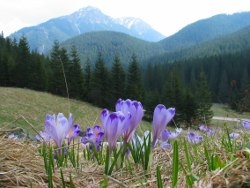 VI Krakowska Dekada Fotografii Nieskończenie, ponad wszelkie marzenia