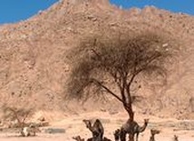 Refleksja na dziś - 3. tydzień zwykły