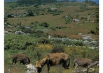 2 października; wtorek