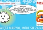 5 października 2008