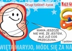 7 października 2008