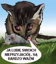 Niedziela – 7 zwykła; 18 lutego 2007